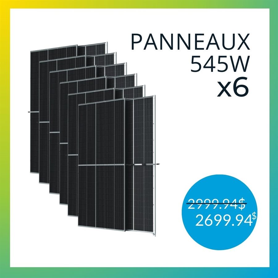 Panneau Solaire Bifacial W Monocristallin Vertex De Trina Solar X