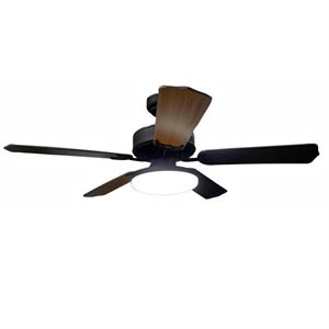 Ventilateur de plafond 12V